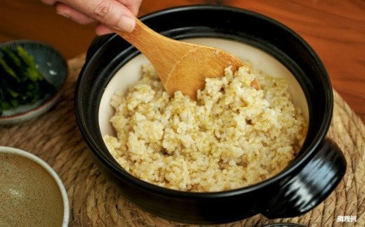 ＜令和7年度産＞玄米で健康促進！『定期便6回』北海道産ゆめぴりか10kg《令和７年10月頃より発送予定》【3900702】