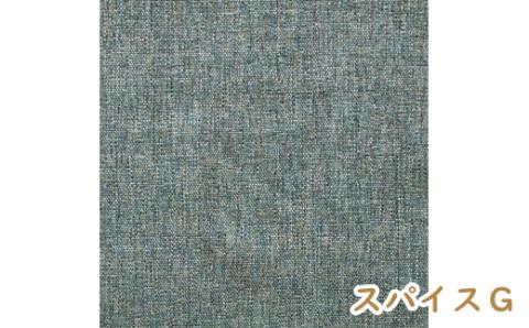 【廃盤のため3/21締め切り】チグサビーチ ダイニングチェアスパイスG WK212B《NY色》【08160】