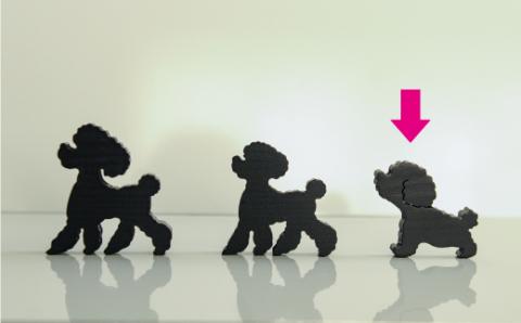 プードルのキャニスターC【テディベアーカット】（オブジェ黒・文字色白）／600ml【17012】