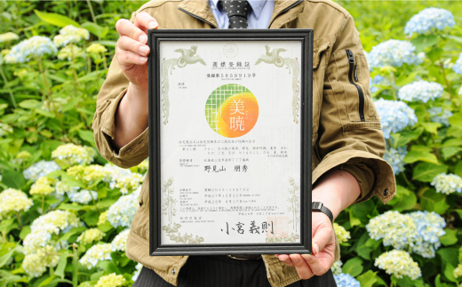 《2026年分受付中》≪数量限定！≫のみやまファームの赤肉メロン「美暁」（各1.6kg以上を2玉）【01167】