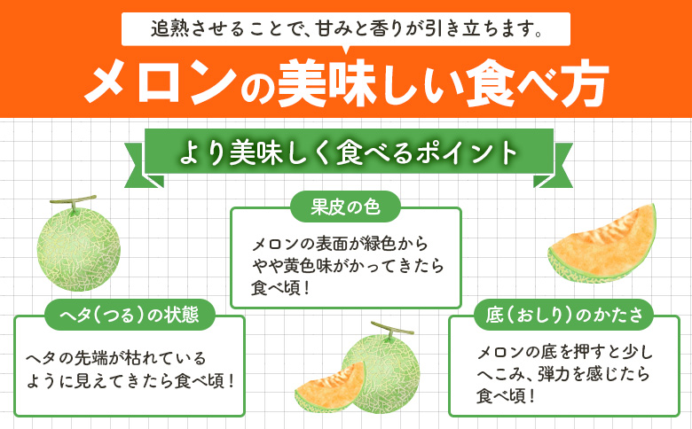 《2026年分受付中》大玉！とろける食感の北海道三笠メロン2玉入(3.2kg以上)【0106202】