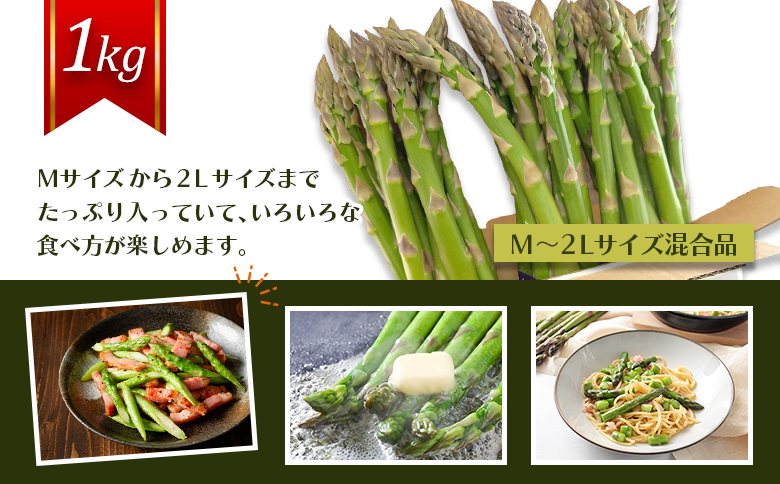 【先行受付】のみやまファームのグリーンアスパラガス（Ｍ～２L以上）1kg【05004】