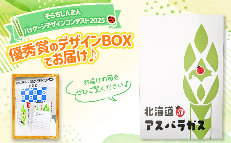 【先行受付】のみやまファームのグリーンアスパラガス（Ｍ～２L以上）1kg【05004】