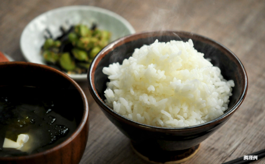 【令和7年産】10年連続優秀表彰受賞『ゆめぴりかの匠』 ゆめぴりか(5kg)《令和7年10月頃より発送予定》【4100102】