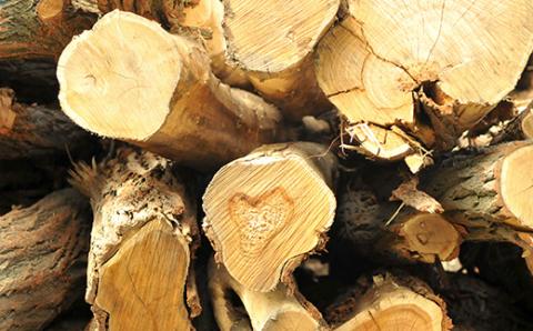 ≪キャンプにおすすめ！≫薪（広葉樹）キャンプストーブ・焚き火用 約10㎏【01120】