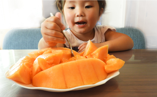 《2026年分受付中》≪数量限定！≫のみやまファームの赤肉メロン「美暁」（各1.6kg以上を2玉）【01167】