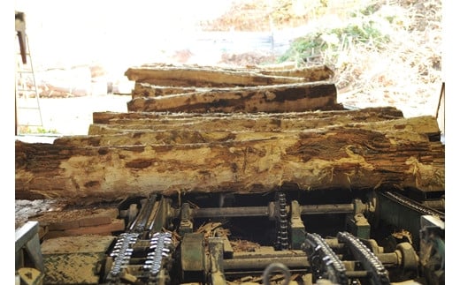 ハリエンジュチェアHM9998X《ナチュラル色》【0815201】