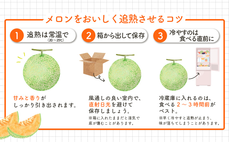 《2026年分受付中》大玉！とろける食感の北海道三笠メロン2玉入(3.2kg以上)【0106202】