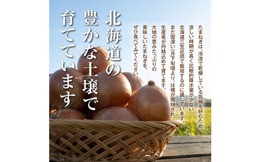 三笠aroundたまねぎＬサイズ10kg《11月下旬頃より発送予定》【3300402】