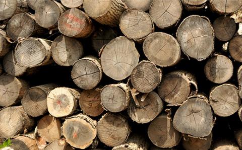 ≪キャンプにおすすめ！≫スウェーデントーチ（大）、薪5㎏（広葉樹）キャンプストーブ・焚き火用、スモーク用チップ30gセット【01121】