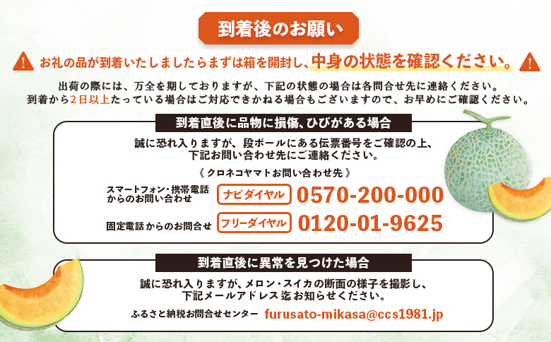 《2026年分受付中》≪数量限定！≫のみやまファームの赤肉メロン「美暁」（各1.6kg以上を2玉）【01167】