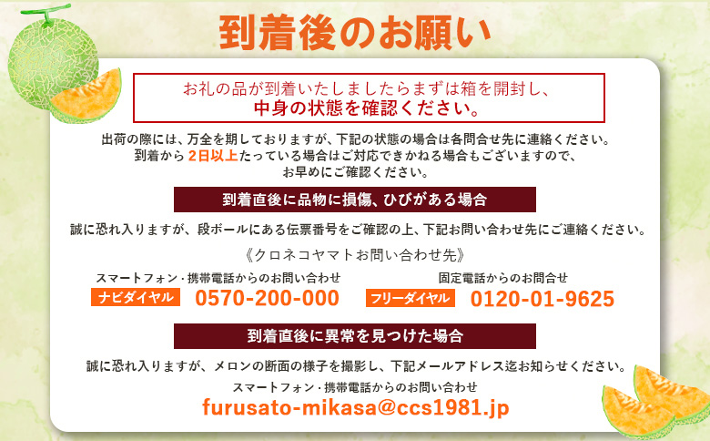 《2026年分受付中》大玉！とろける食感の北海道三笠メロン2玉入(3.2kg以上)【0106202】