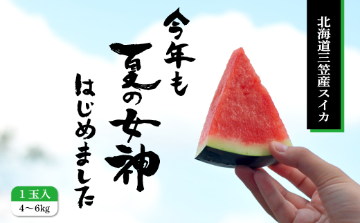 《2026年分受付中》『夏の女神』種が少なくて甘い黒皮スイカ1玉入（中玉4～6kg）【01005】
