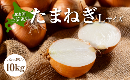 三笠aroundたまねぎＬサイズ10kg《11月下旬頃より発送予定》【3300402】