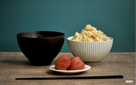 ＜令和7年度産＞玄米で健康促進！『定期便6回』北海道産ななつぼし10kg《令和７年10月頃より発送予定》【3900802】