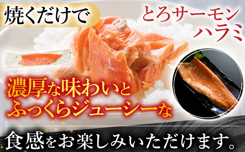 スモークサーモン2～3P(計400g)＆とろサーモンハラミ3～5枚(計1kg) A-09128