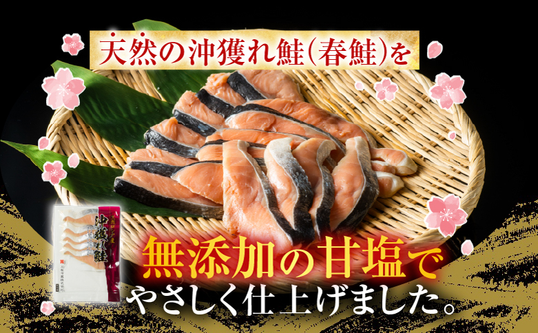 無添加甘塩天然沖獲れ鮭5切×6P(計30切、約1.5kg) A-11009