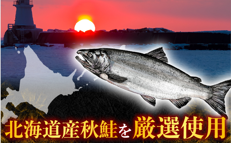 ＜12月10日決済分まで年内配送＞鮭とば500g(250g×2P) A-11125
