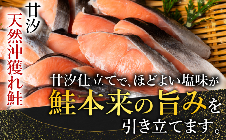 甘汐天然沖獲れ鮭1切×18P(約1kg) A-11132