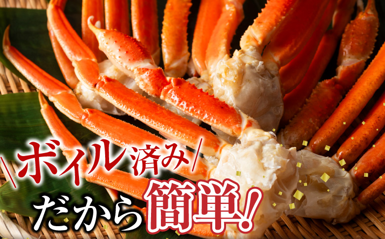 ボイル本ずわいがに脚5肩(計約1.2kg) A-11246