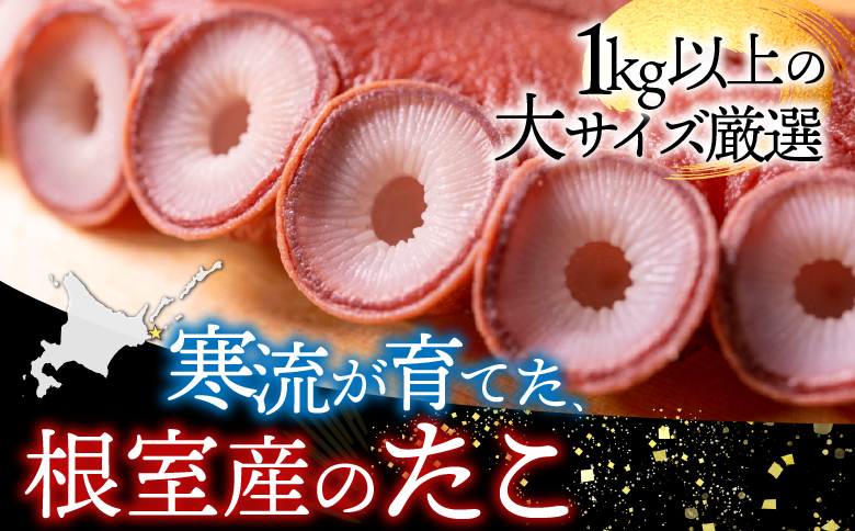 【北海道根室産】刺身用たこ足1本(1kg以上) A-14228