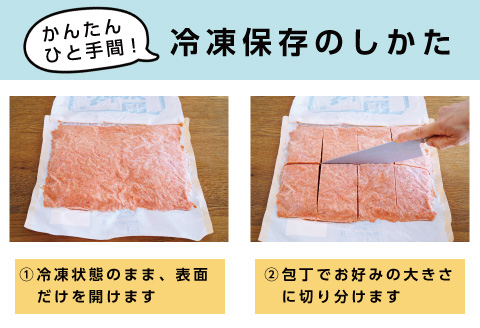 ＜12月17日決済分まで年内配送＞鮭フレーク塩味1kg G-16004
