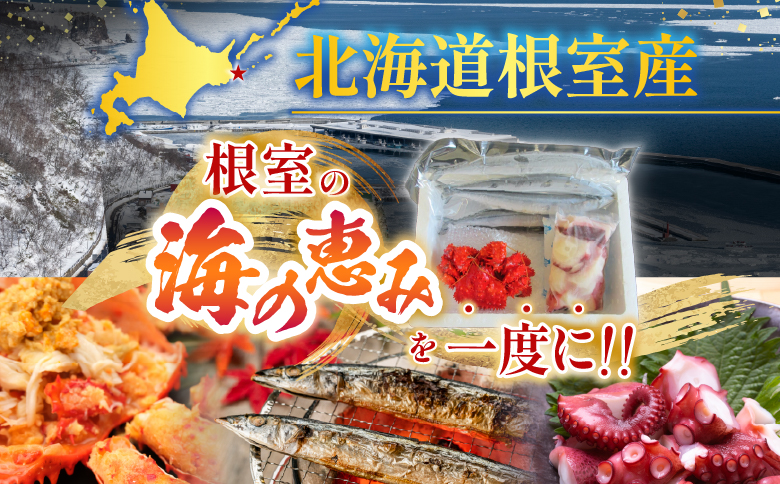 【北海道根室産】花咲かに・たこ・さんまセット A-19012