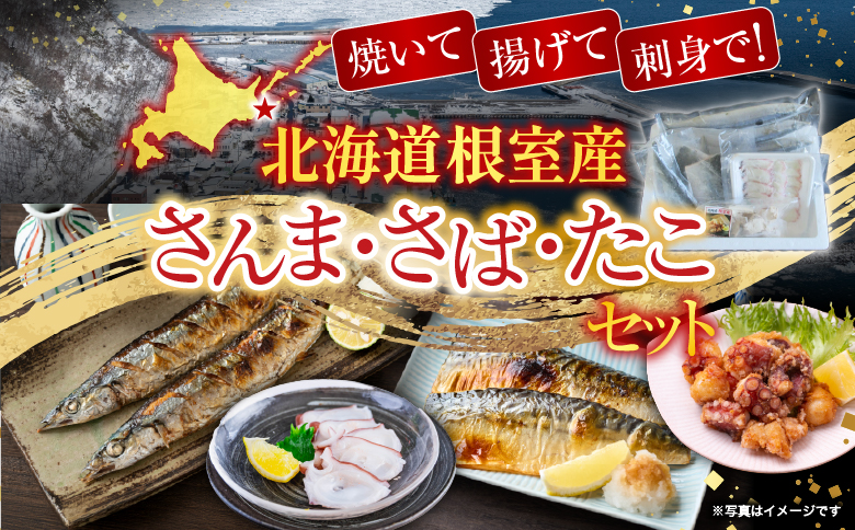 【北海道根室産】さんま・さば・唐揚げ用たこ・たこ刺身セット A-19014
