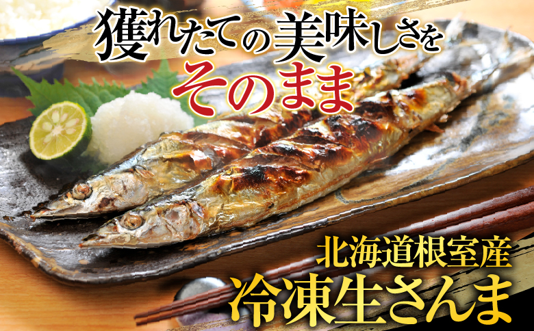 【北海道根室産】冷凍生さんま500g×4P（計2kg） A-19016