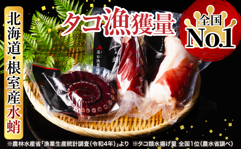 ＜12月14日決済分まで年内配送＞【北海道根室産】ボイルたこ足(水蛸)ブロック3切(計1kg前後) A-20003