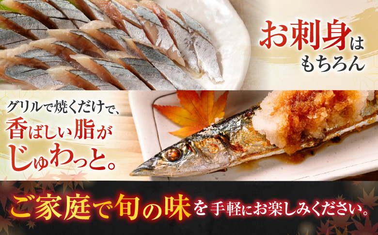 ＜12月21日決済分まで年内配送＞【北海道根室産】冷凍さんま20尾入り A-30003