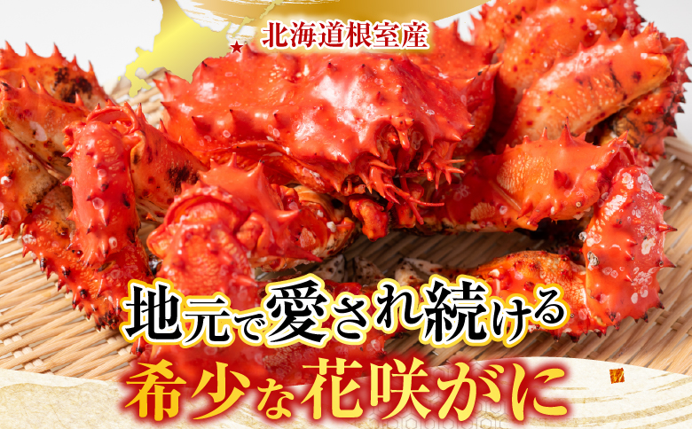 【北海道根室産】花咲かに400g前後～600g前後×2尾 A-30030