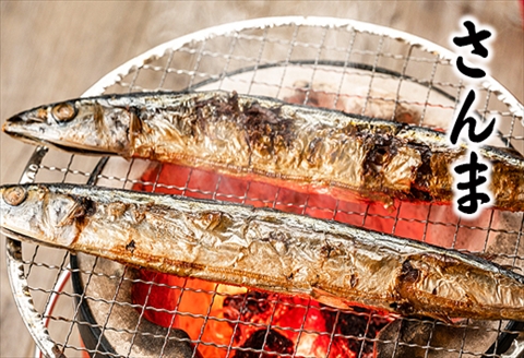 【北海道根室産】さんま明太2尾×3P・糠さんま3尾×3P・冷凍生さんま4尾×3P　 A-32042