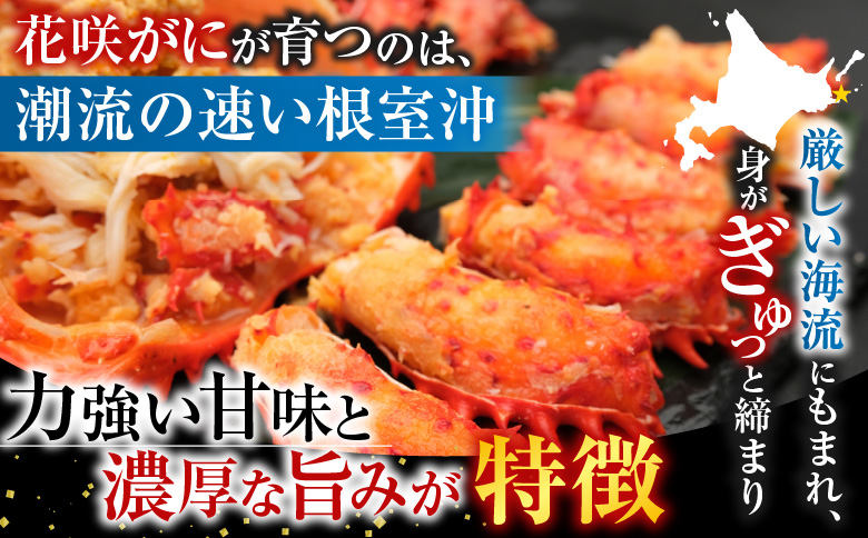 【12/31決済分まで1月中配送】 【北海道根室産】花咲かに300g前後～450g前後×3尾 A-36001