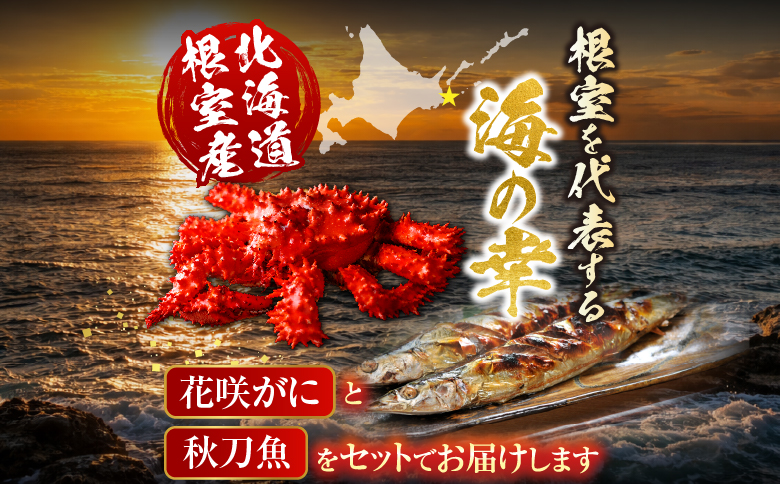 【北海道根室産】花咲かに2尾・冷凍さんま5尾セット A-36004