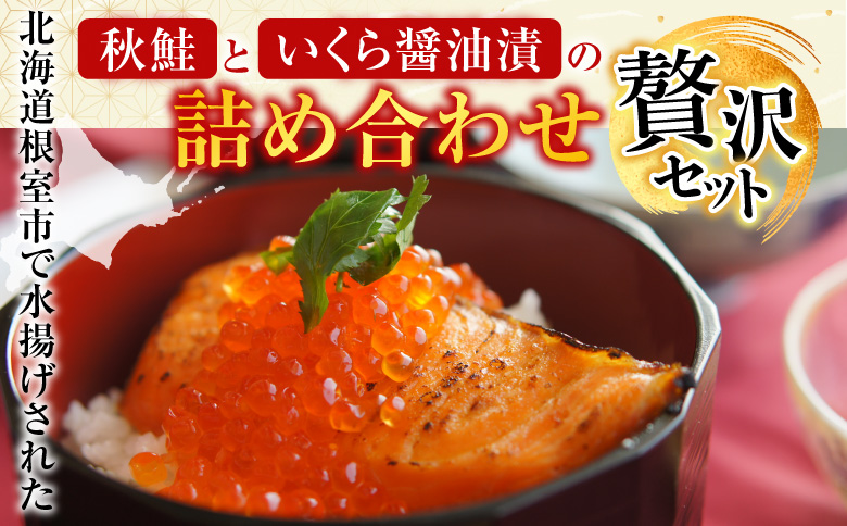 【北海道根室産】＜鮭匠ふじい＞鮭・いくら詰合せ A-42064