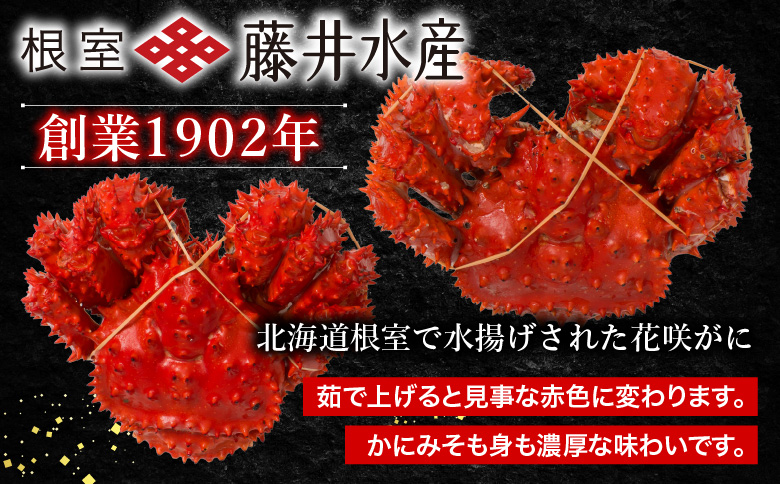 ＜12月21日決済分まで年内配送＞【北海道根室産】＜鮭匠ふじい＞ボイル花咲がに2～3尾(計約1kg) A-42084