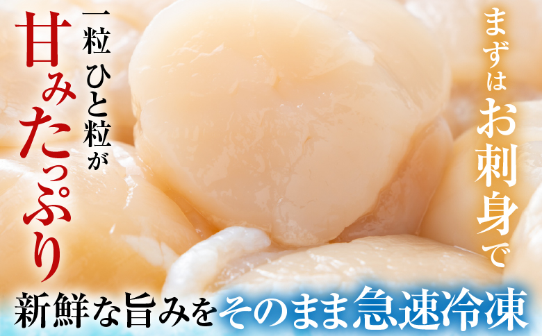 ＼漁業者応援品／【北海道根室産】お刺身ほたて貝柱800g A-42113