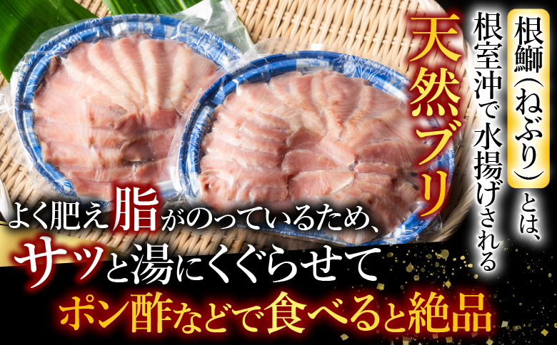 ＜12月21日決済分まで年内配送＞【北海道根室産】天然根鰤しゃぶセット A-42126
