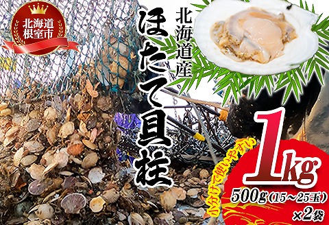 ＼漁業者応援品／ほたて貝柱500g×2P(計1kg) A-45001