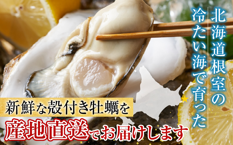 ＜12月21日決済分まで年内配送＞【北海道根室産】貝付き牡蠣20個[11月上旬以降発送] A-54009