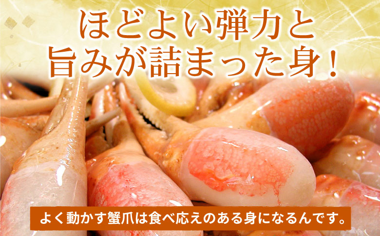 ＜12月21日決済分まで年内配送＞かに爪刺身500g A-56012