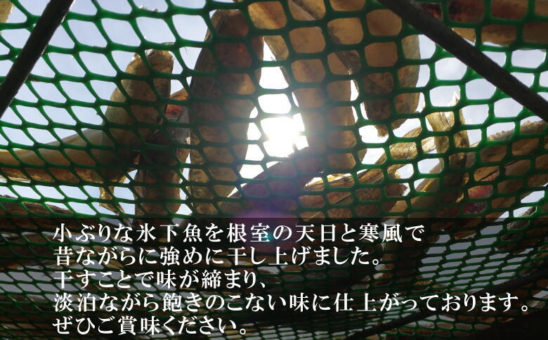 ＜12月21日決済分まで年内配送＞【北海道根室産】生干しこまい 1.4kg A-69011