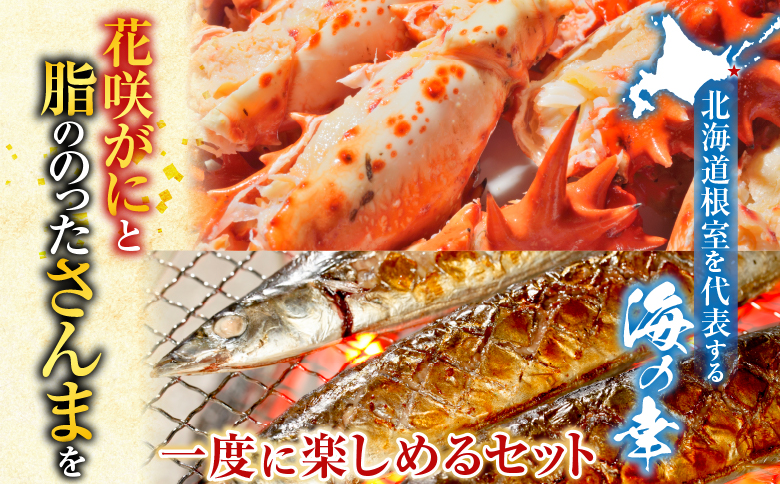 【北海道根室産】花咲かに2尾・冷凍さんま5尾セット A-70004
