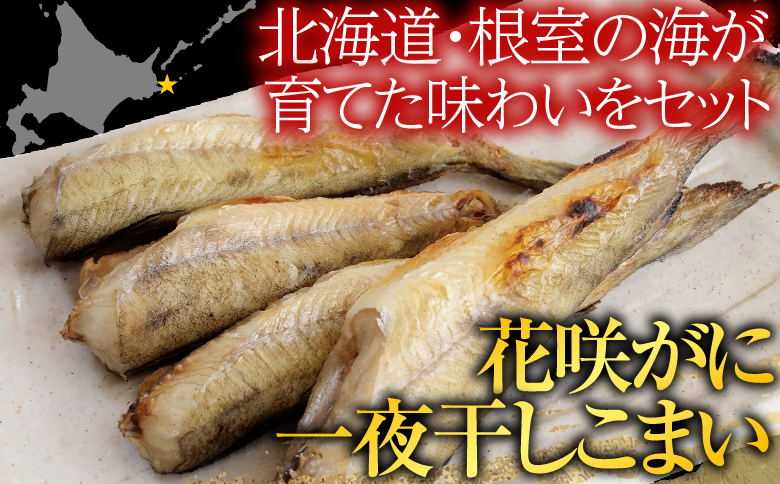 【北海道根室産】花咲かに・一夜干しこまいセット A-76007
