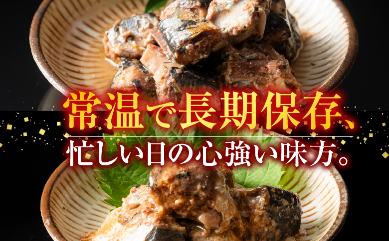 【北海道根室産】骨まで食べられる！いわしのやわらか煮セット B-09009
