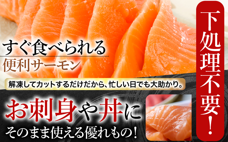 お刺身ほたて貝柱300g×2P＆お刺身トラウトサーモン2～3P(計800g) B-09101