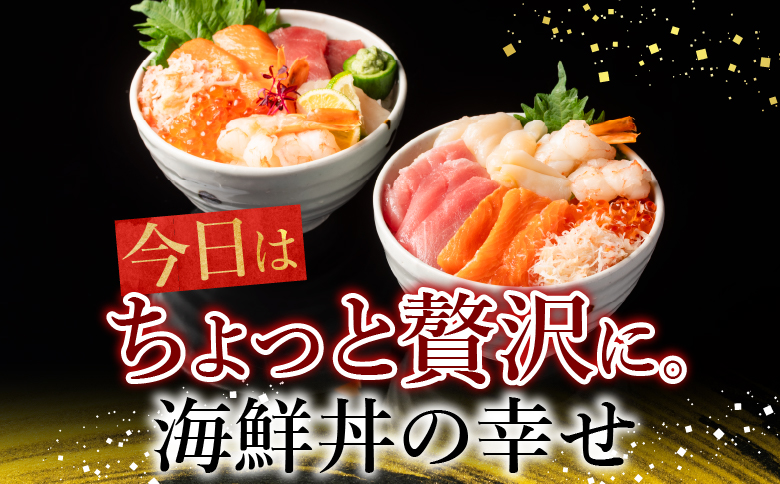 【12/31決済分まで1月中配送】 海鮮丼の具(6種盛り)×6セット B-10008