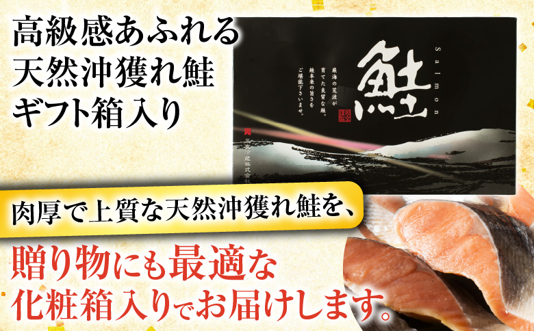 天然沖獲れ鮭1切×10P(約1kg) B-11060