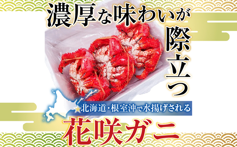 【北海道根室産】花咲ガニ400～500g×3尾 B-11119